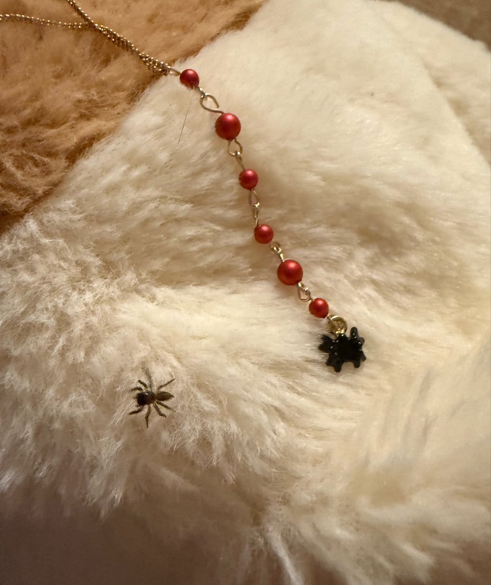 adansoni_almand's tweet photo. ファッ！？！？お客様！？！？いいんですかそんなサービス！？！？🕷️
(たまたま持ったヒンのぬいぐるみにいた) https://t.co/rhqDPcjFiV
