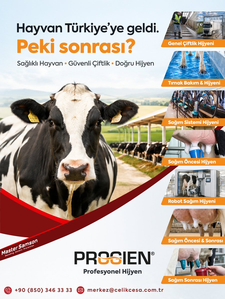 celikcesagroup's tweet photo. Hayvancılıkta sürdürülebilir kârlılık ve yüksek verim; doğru damızlık seçimiyle başlar, tavizsiz bir biyogüvenlik zinciriyle korunur. Çelik Çesa Group çatısı altında, üreticimizin ihtiyaç duyduğu tüm kritik aşamaları tek noktadan yönetiyoruz. https://t.co/DoTygF2KWA