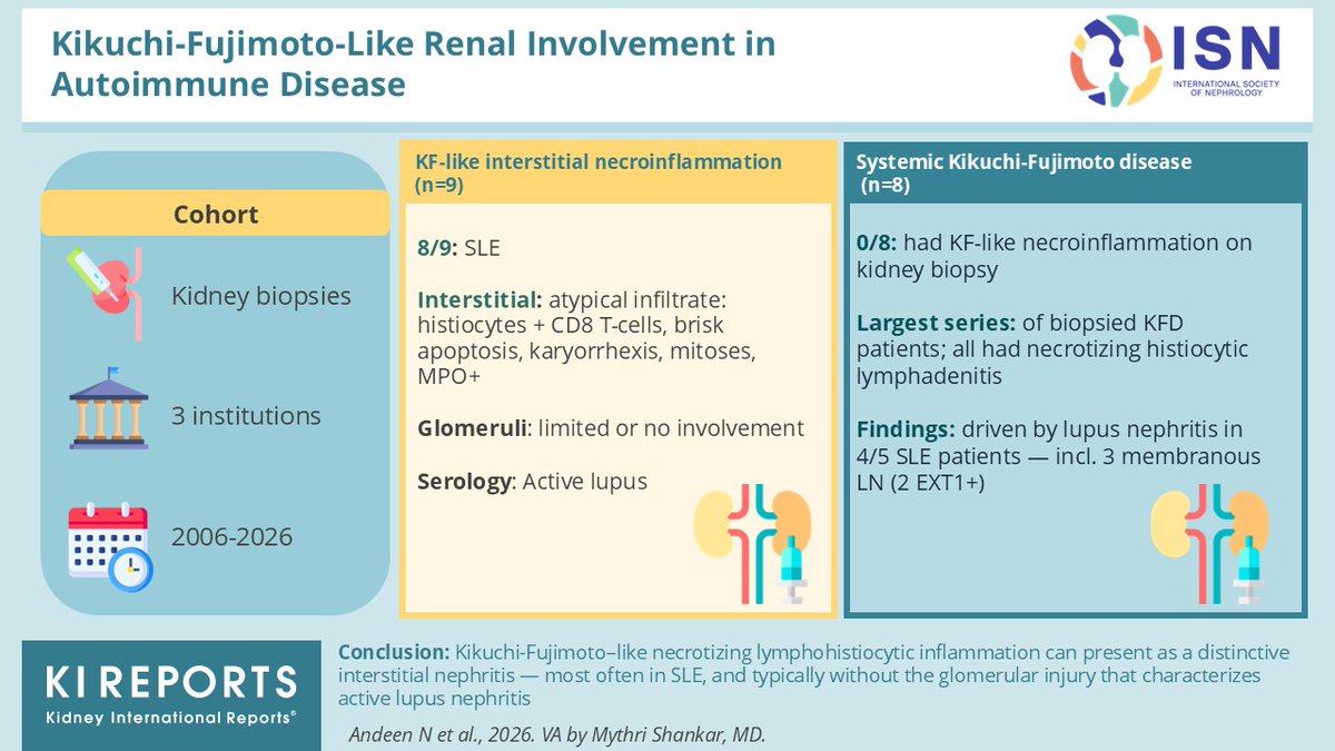 KIReports's tweet photo. #Kikuchi-Fujimoto-Like #Renal Involvement in Autoimmune Disease

#VisualAbstract by @nephromythri

https://t.co/cKw5FrMSmB https://t.co/tnYxtkCHRl