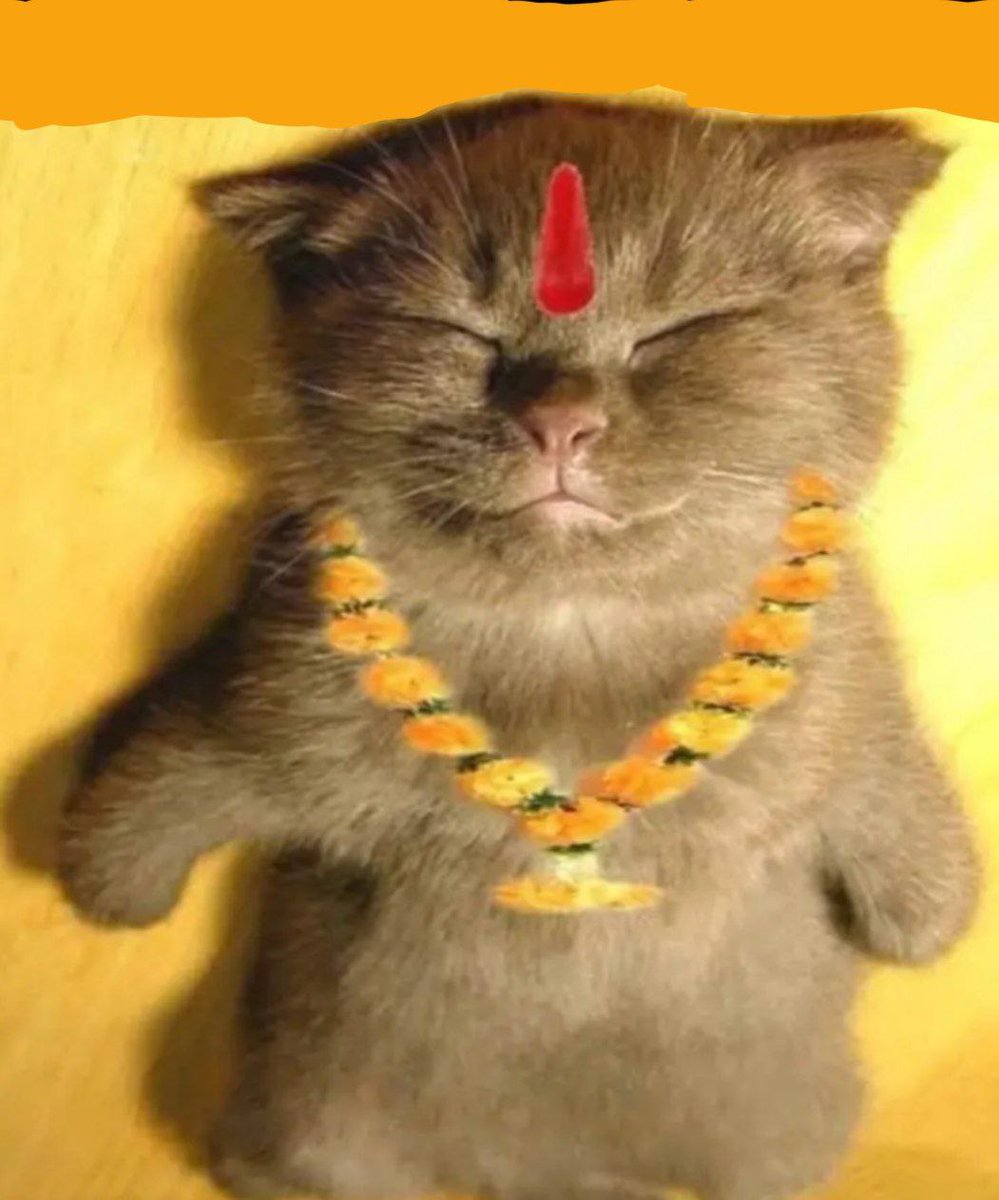 Be_ganesh2's tweet photo. Hello bro @Nirmalsheshma 😅 https://t.co/UcbBe1fFZF