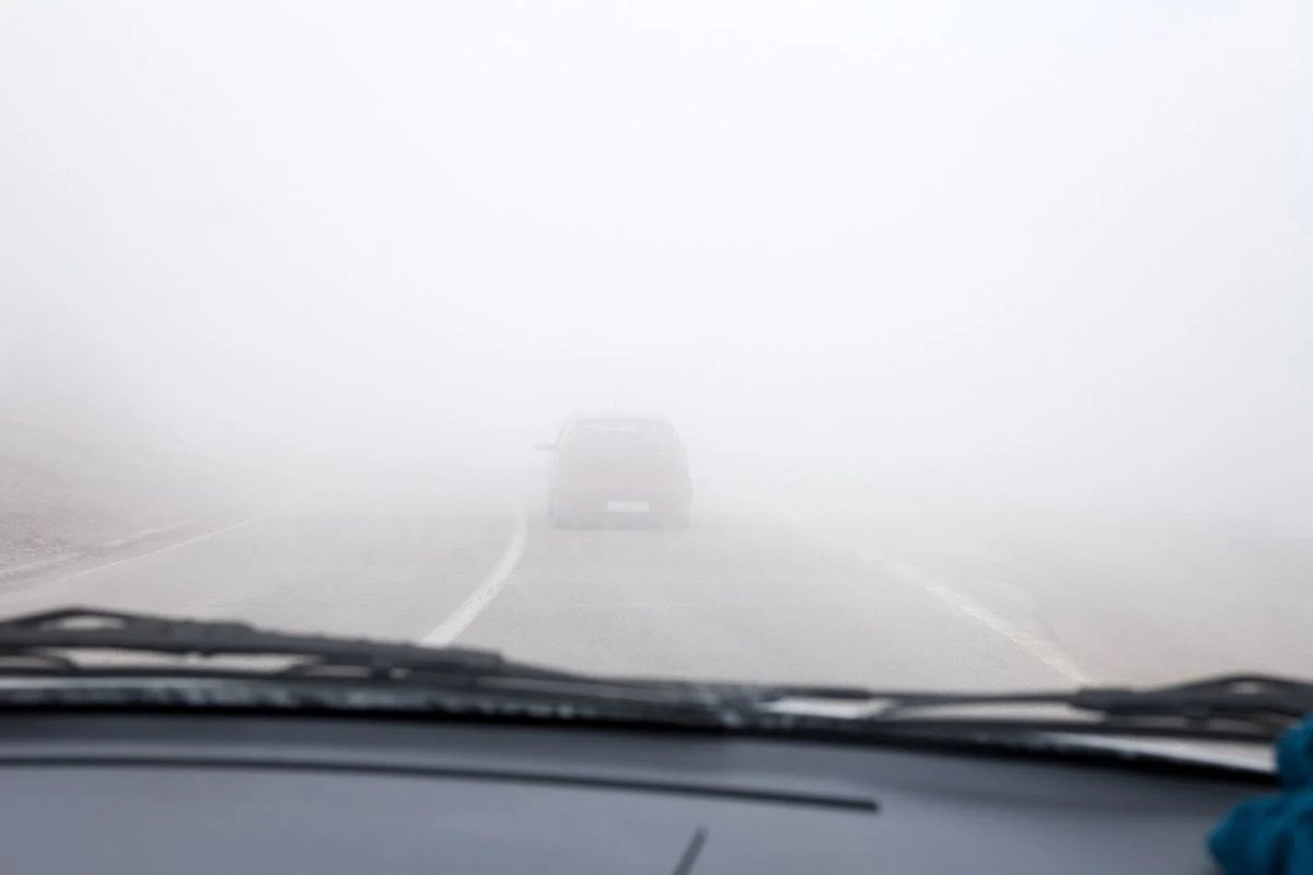 KarlTheFog_'s tweet photo. Your self-driving car doesn't know what to do with me. I am the ultimate edge case. Stay sharper than the AI trying to navigate Geary Blvd—grab a bag of The FOG. 🚗☁️💻
#KarlTheFog #TechRoast #SanFranciscoTech #SFCoffee #MondayMotivation https://t.co/iLGxzNsItq