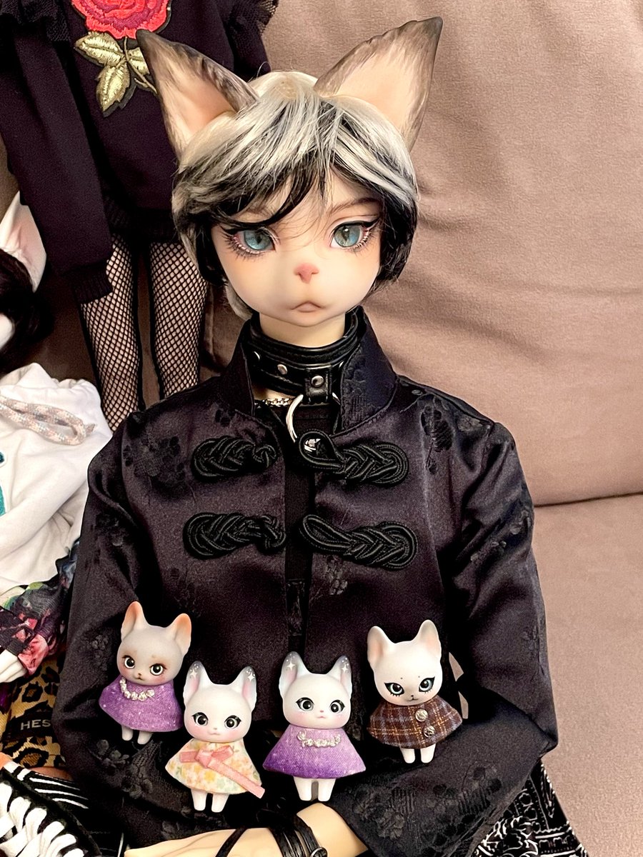 passionngi_doll's tweet photo. あなたも粟をおむかえしたくな〜る〜🌾🌀
#西のディアマ会
#dearmine https://t.co/4Dww2Tv4Y1