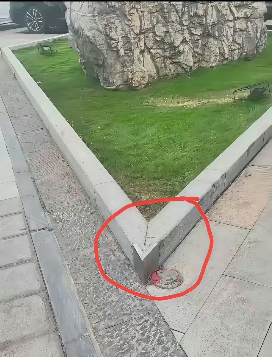 狂飙在币圈 的图片 2