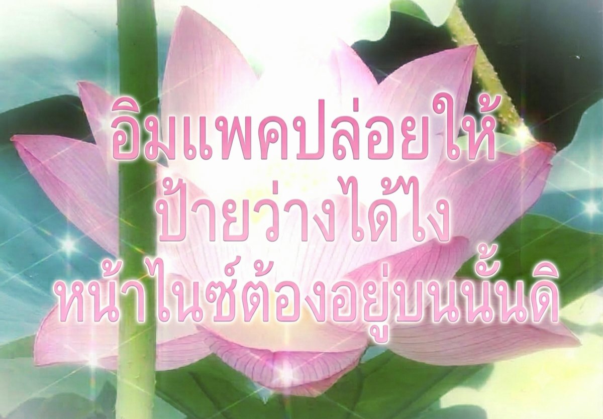 nicestoryy's tweet photo. สาดไปครับสมาชิก พรุ่งนี้โดเนทวันสุดท้ายแล้ว จะปล่อยให้ป้ายว่างได้ไง หน้าไนซ์ต้องอยู่บนนั้นดิ
อิมแพคครั้งแรกทั้งที มาแปะสลิปให้ชื่นใจหน่อยเร็ว บิดไปให้สุด 310 กิโล!
_
KBANK 1411416573
PANIDA M.
#2026NiceBDproject
#NiceToShineAtImpact
꒰ #NiceATLAS #ATLAS_TH #ATLASth ꒱ https://t.co/RZRADwNdGk