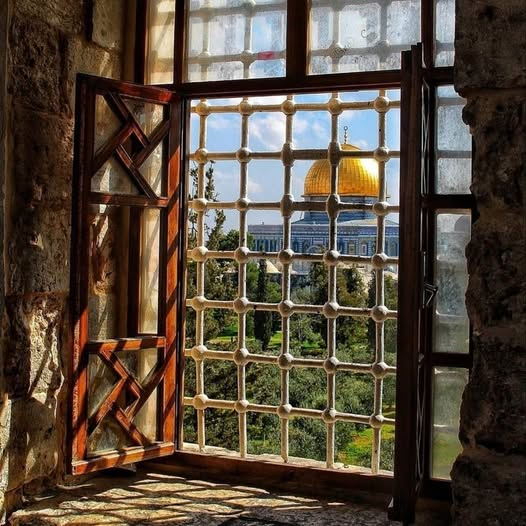 MahazainMaha's tweet photo. فلسطين حاضرة بكل بيت فلسطيني وبكل قلب حمل محبتها ❤️🇵🇸
#فلسطين #حب_فلسطين https://t.co/Kqkv5eQB6S