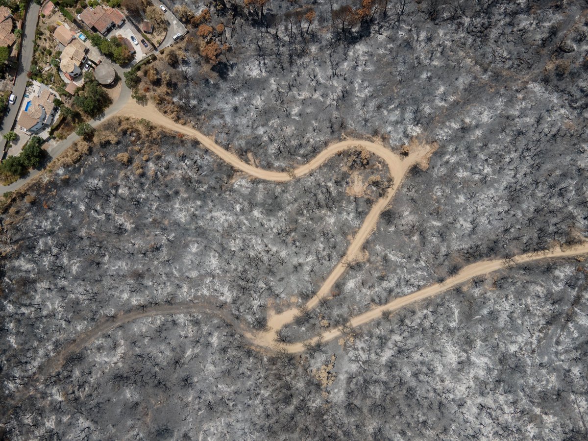 RUIDOPhoto's tweet photo. En Calonge, las llamas alcanzaron áreas residenciales, evidenciando también la exposición de los núcleos habitados situados junto a zonas forestales. https://t.co/gt30egt3bM