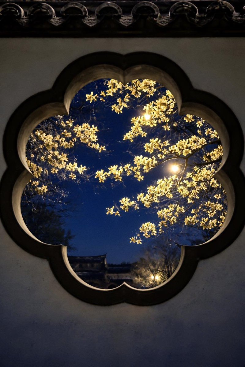 cozyycabin's tweet photo. window of petals https://t.co/EKknw5NX7z