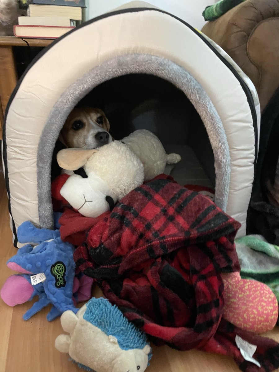 HarmlessYardDog's tweet photo. I’m thinking about it, but I don’t if I’m ready for Monday?

GM! https://t.co/Sd7tgRkxWA