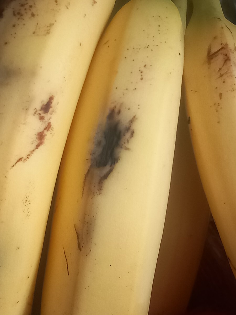 CFC_ChelseaLad's tweet photo. I thought there was a spider on my banana 😭 😭 😭 😭 https://t.co/vH4bcPG4PL