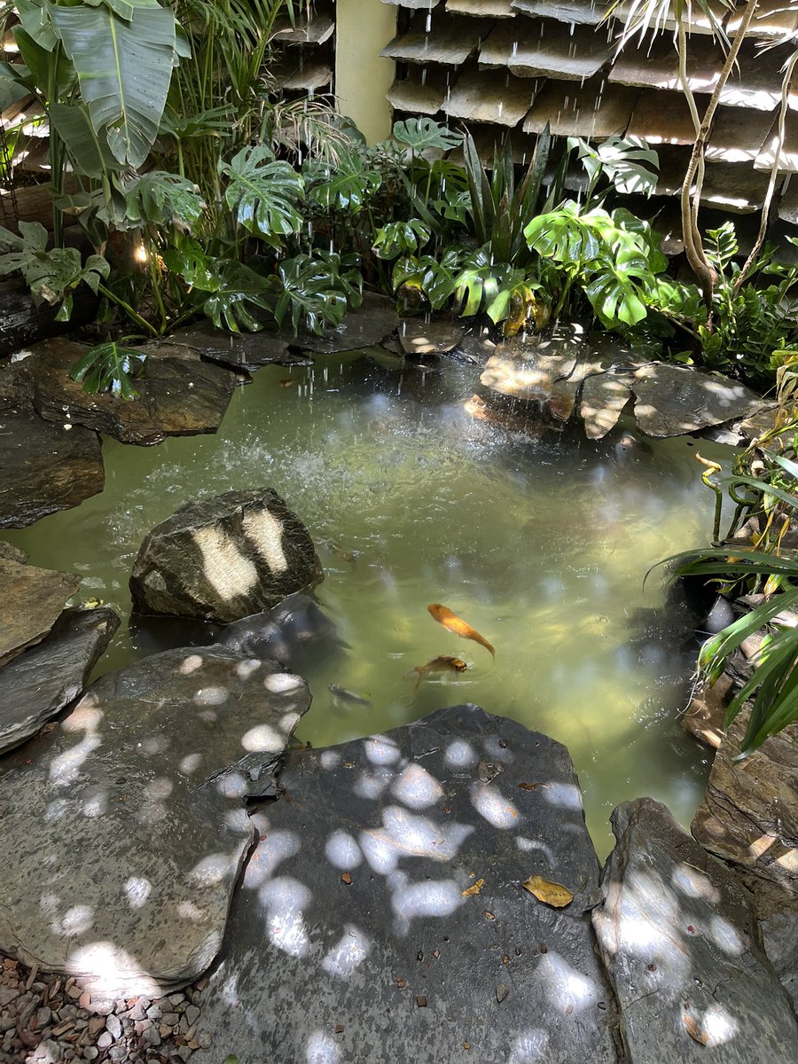 user53284's tweet photo. Finally weird fishes https://t.co/X8JsoJpjOE