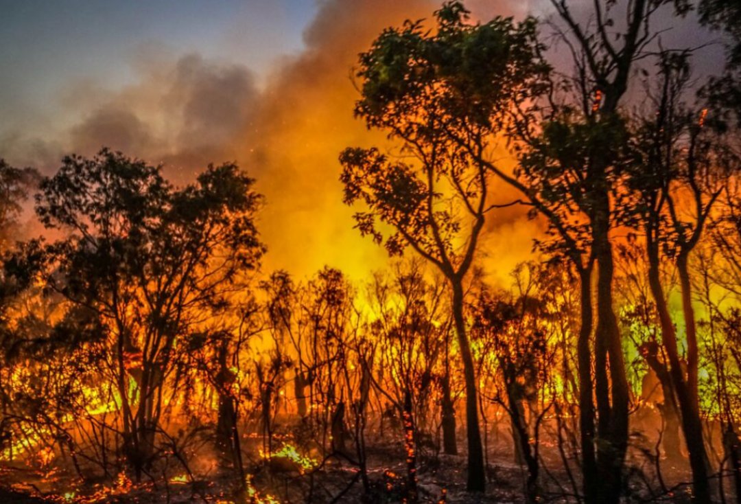 FaithNtako65514's tweet photo. 🚨 À LA UNE | IDJWI : PRÈS DE 60 HECTARES DE CHAMPS RAVAGÉS PAR DES FEUX DE BROUSSE
Dans les chefferies de #Rubenga et #Ntambuka, en territoire d’#Idjwi, les feux de brousse prennent une ampleur inquiétante.
Près de 60 hectares de champs ravagés. https://t.co/cuBq4gMrC6