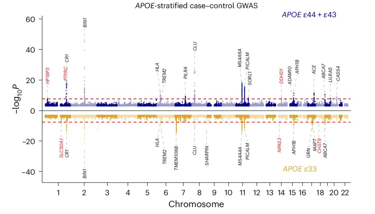 joe_pickrell's tweet photo. Interesting study showing interactions between APOE status and other genetic variants on Alzheimer's risk https://t.co/8sdqUcy7cG https://t.co/y1mxnpp4O6