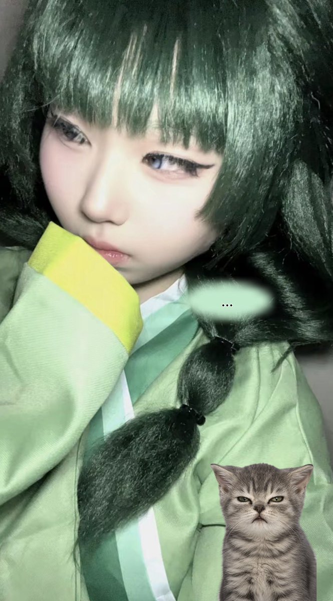 myuma387484's tweet photo. #药师少女的独语 #猫猫 https://t.co/HdJ3oTANQZ