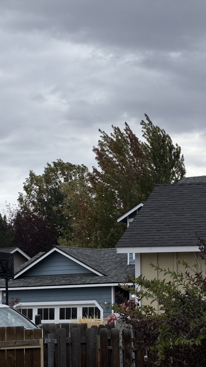 FoxPlop's tweet photo. the leaves are turning colors again already???? https://t.co/VRu3e9j4Eb