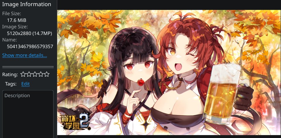 max20091dev tweet picture