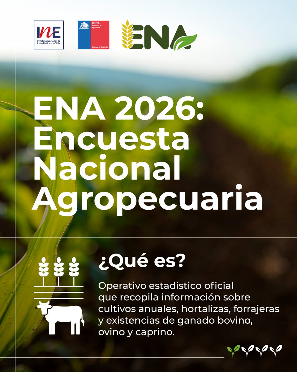 INE_Chile tweet picture