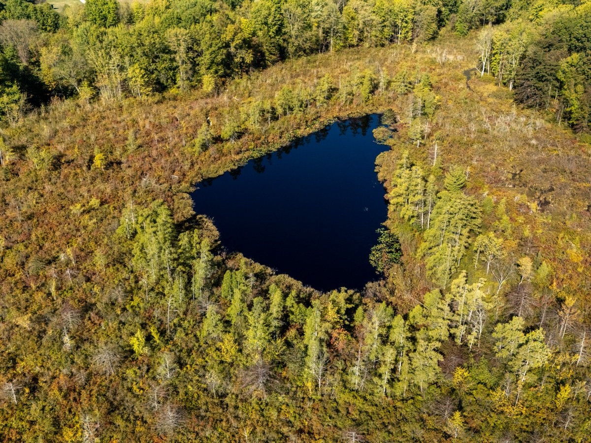 An aerial view of a triangle-shaped pond surrounded by dense forest and greenery, displaying shades of early autumn foliage under a clear sky.