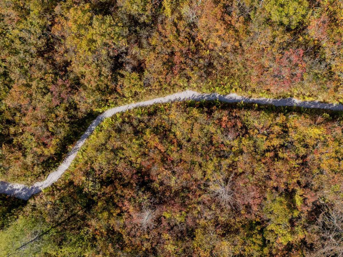 Aerial view of a winding path through a nature preserve with dense foliage displaying shades of green, yellow, and red, indicating autumn.