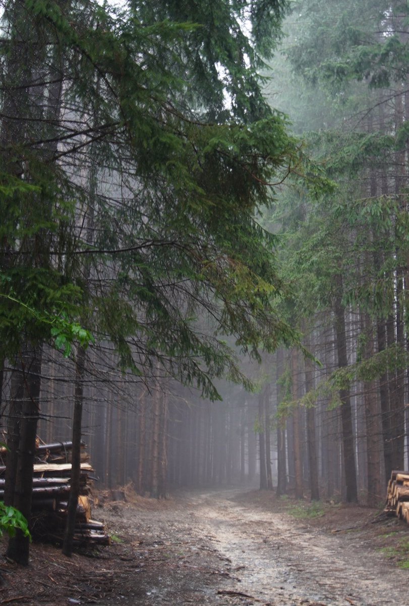 sndsalnn's tweet photo. الطبيعه تتكلم 🌨️🌲🌊
#رومانيا 🇷🇴 https://t.co/hl8zMb4JhK
