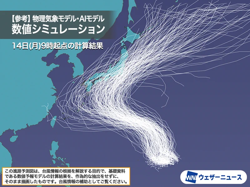 ここたん様参考資料 mqdefault.jpg