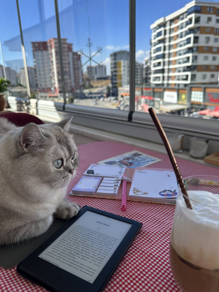 ozum22's tweet photo. Birlikte okuyoruz 😄
Cennetin Doğusu/ #steinbeck #kindl #kitaptavsiye https://t.co/TCKmDg5SO5