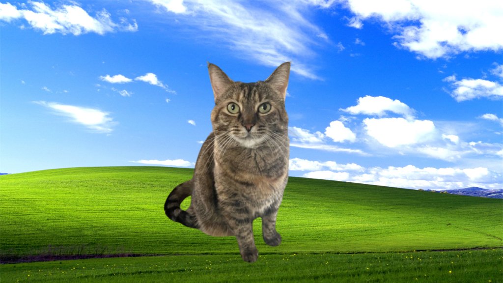 comedyvoid2yay's tweet photo. how is she doing this https://t.co/xazH8HxFL3