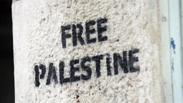FERNVORTEX's tweet photo. Free Palestine 𓂆 🇵🇸 https://t.co/w8CKypTt0j