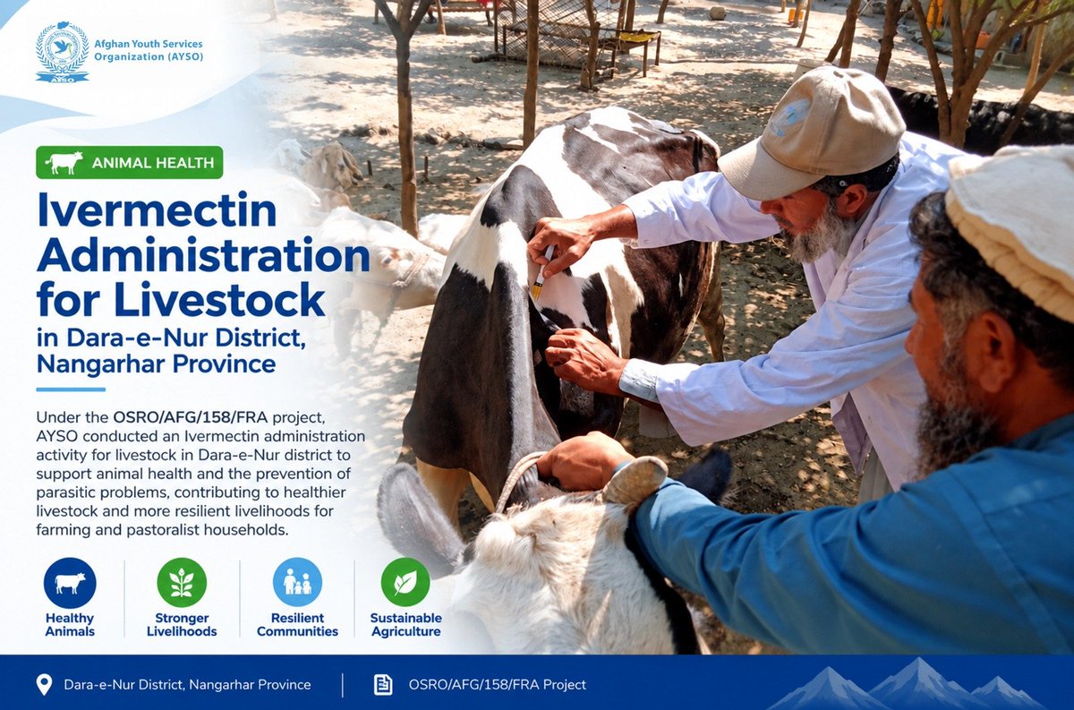 ayso2006's tweet photo. Ivermectin Administration for Livestock in Dara-e-Nur District. https://t.co/0yoKAEEPew
