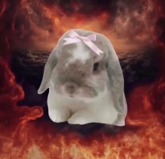 bunnyposting_'s tweet photo. what my vibe is like :3 https://t.co/NxEICEeStb