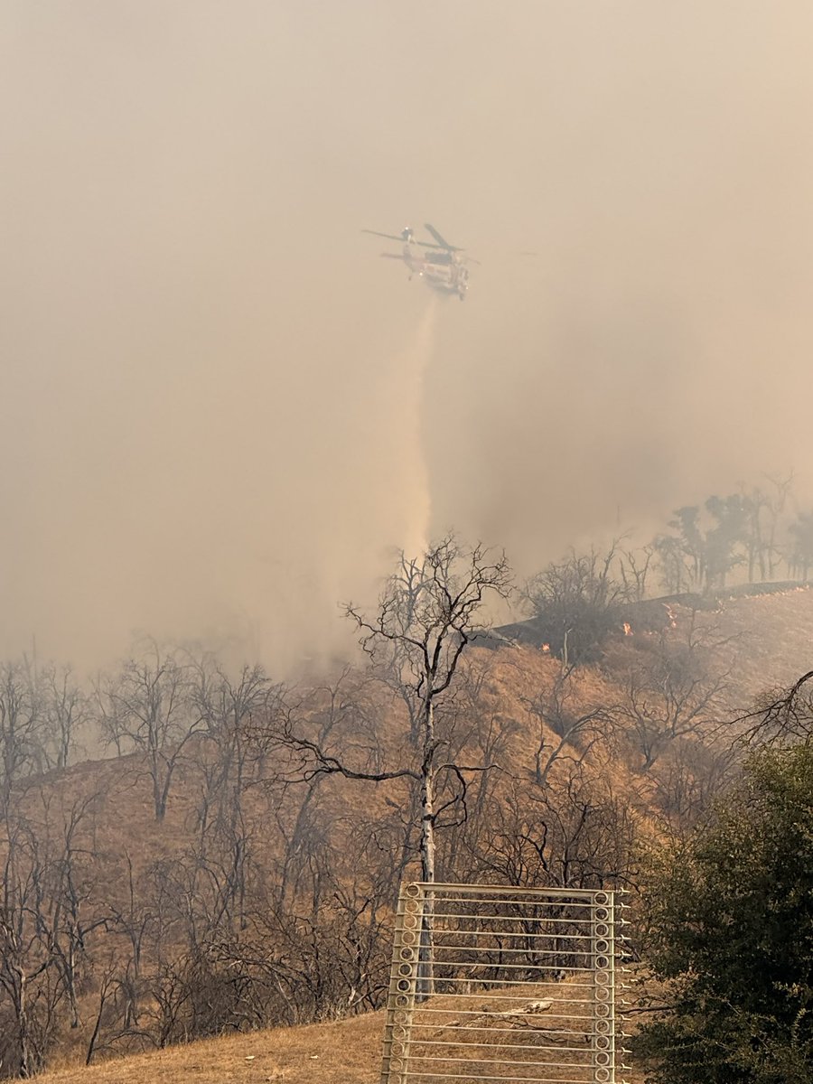 CALFIRELNU's tweet photo. #SteeleFire Update
Containment on the Steele Fire is now at 97%.
Night crew will be coming off the line this morning and we will have (2) Engines assigned today.
The picture shows Copter 616 making a strategic water drop on the right flank (Division X-Ray) during the initial attack on Wednesday. Good coordinated effort between air and ground resources.
