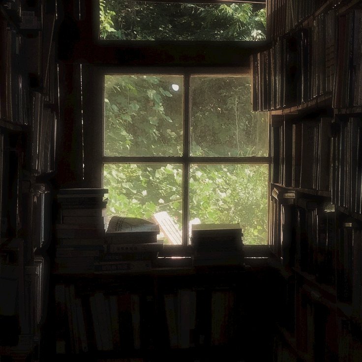 giroflee__'s tweet photo. 📚　　　 　🌎　°　　☁　•　　.°•　　　 𖦹
　　　★　*　♪　　　　°　　　　🐟 　°·　　                           🍀
.　　　•　°    ✿　• https://t.co/RVWbWAWy6d