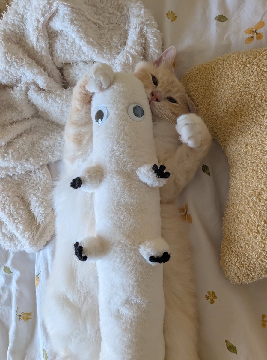 bug_socks's tweet photo. he loves brushbug !!!! https://t.co/BuHHHSDceW