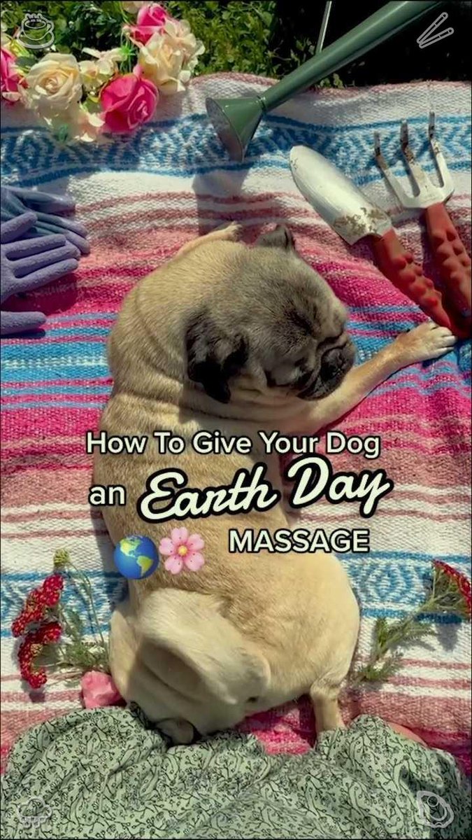 AnimalsFeatures tweet picture
