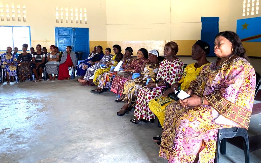 VlfCongo tweet picture