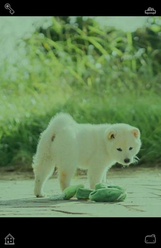 ChiizuKuu's tweet photo. Upon arriving back home, Lila felt a surge of inspiration like never before. Together with Leo, she set out to grow their bubble tea business into new cities, allowing even more customers to enjoy their tasty drinks. Meanwhile, she kept up with her YouTube channel and blog, post https://t.co/9VOUHQ8uGi