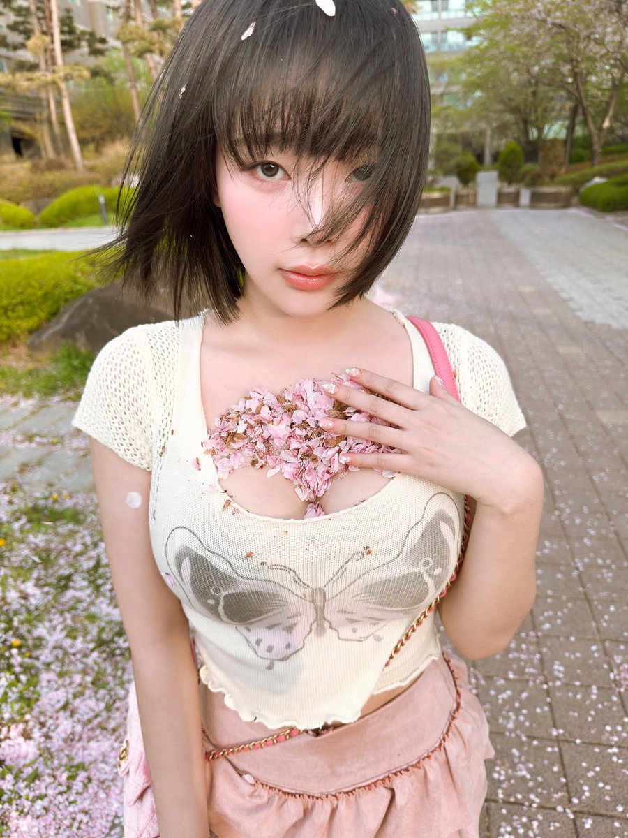 sgfyd's tweet photo. 🌸 https://t.co/7pwu9x4Cfg