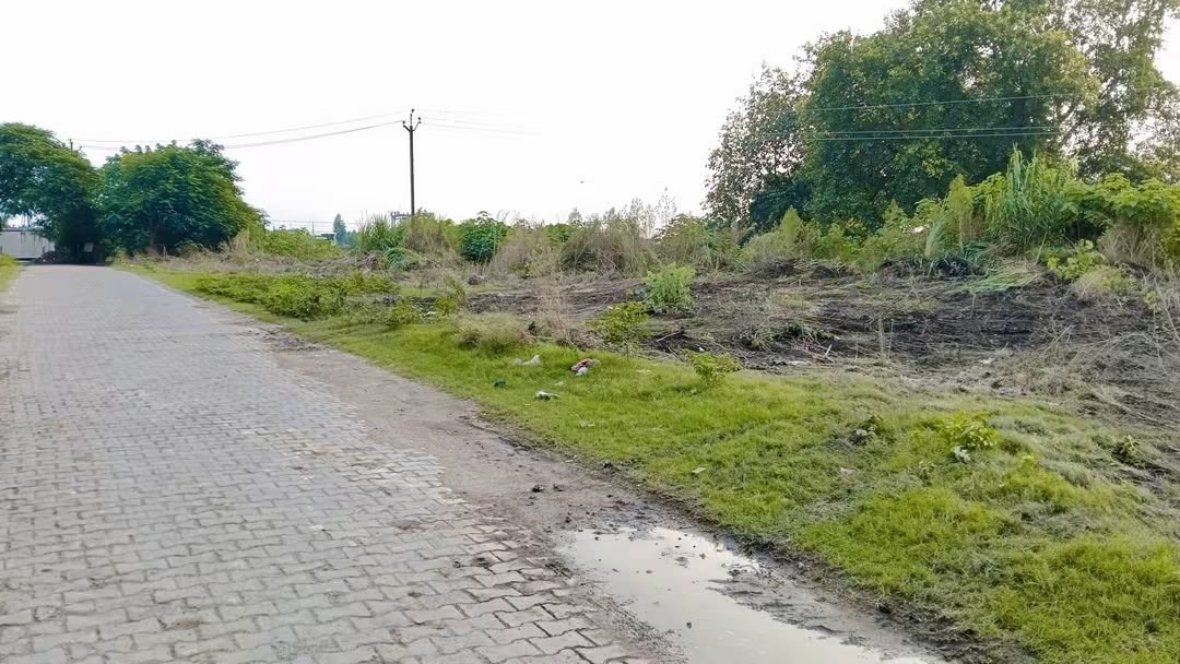 AdvSurajSagar's tweet photo. यह केवल बड़ी-बड़ी झाड़ियों की साफ सफाई नहीं हमारी माताएं, बहनों, बुजुर्ग, साइकिल और पैदल आवागमन करने वाले क्षेत्र के सम्मानित जनों की सुरक्षात्मक दृष्टि से जनहित में किया गया बेहद संवेदनशील और अच्छा कार्य है। https://t.co/z7w85LTAxX