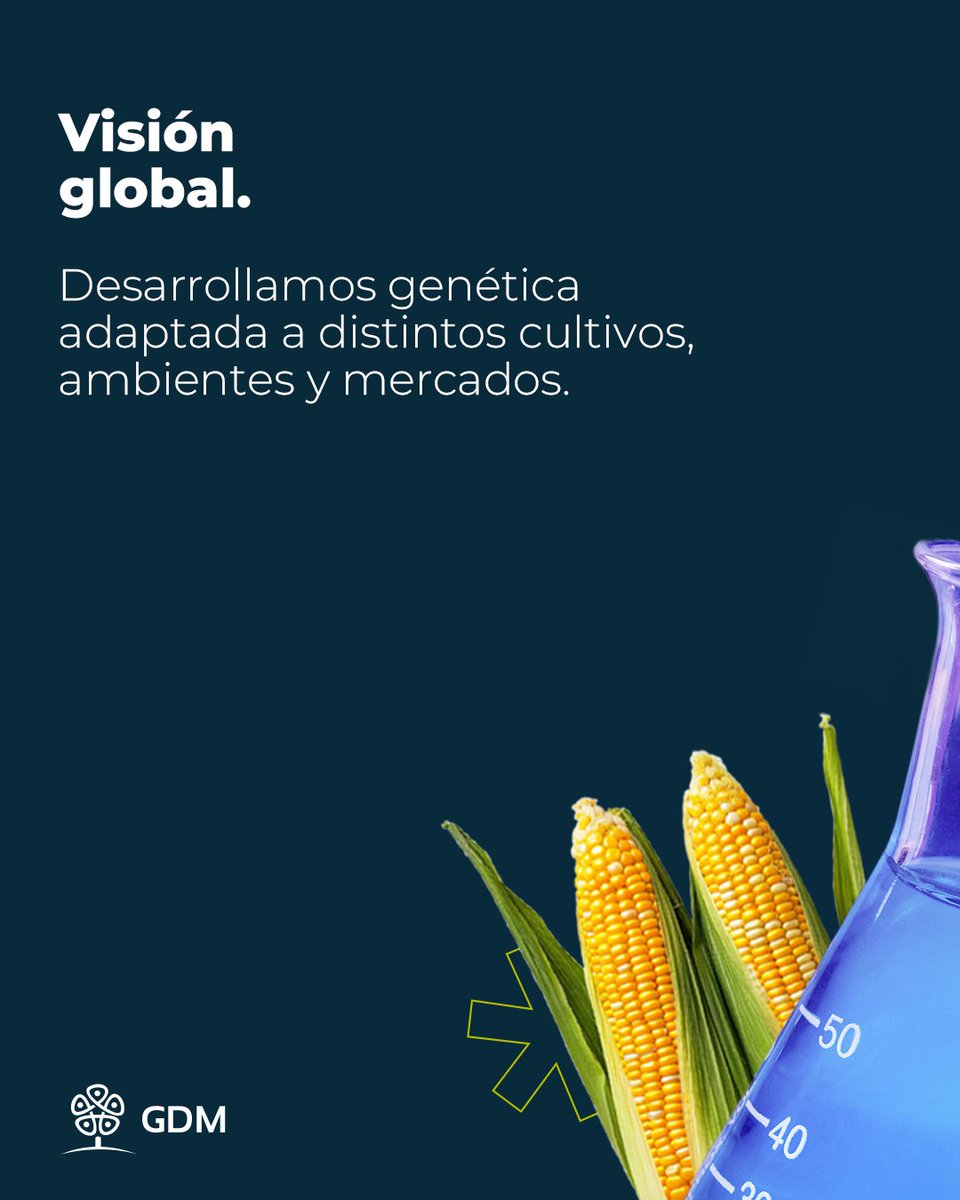 GDMSeeds's tweet photo. En GDM integramos ciencia, tecnología, talento y una mirada global para potenciar la ganancia genética.
Porque lo que nos diferencia no es un solo logro. Es la forma en la que investigamos, innovamos y evolucionamos junto a la agricultura. 🌱 https://t.co/DBFuo0Dx7L