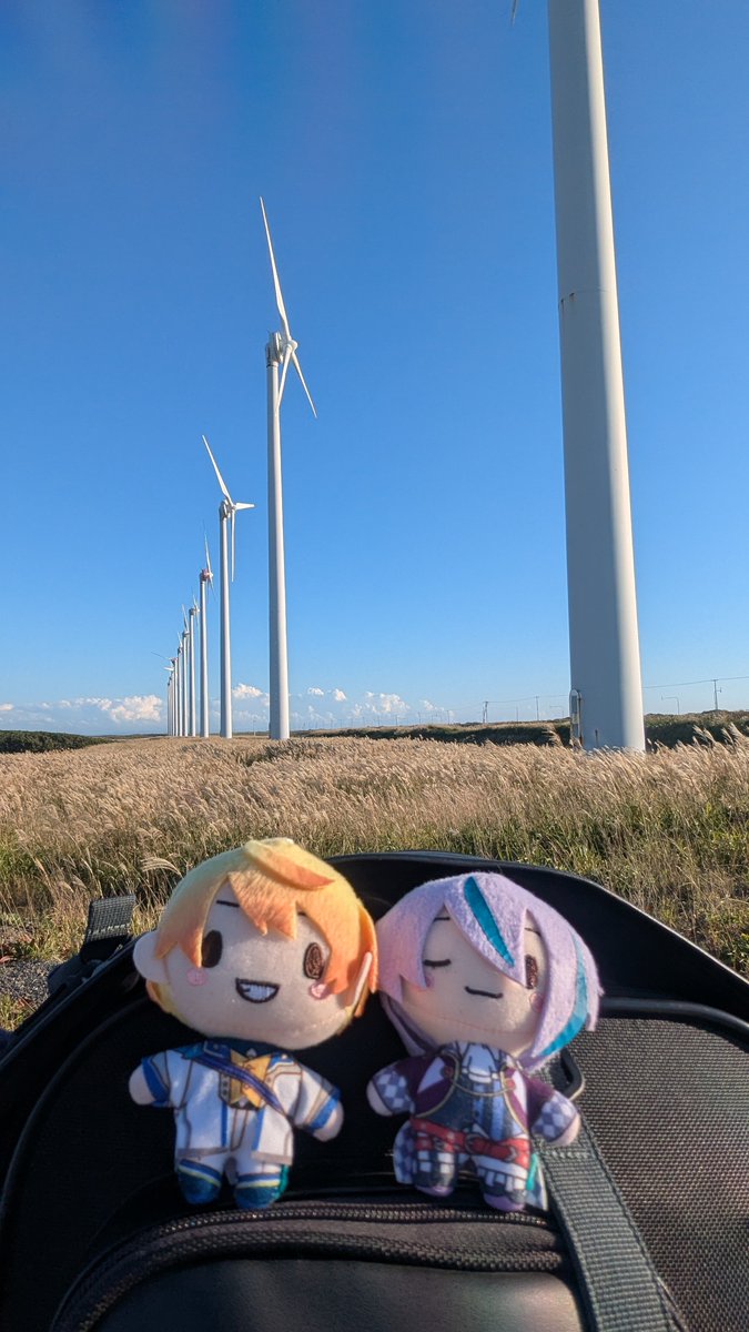 Keika__'s tweet photo. くるくる風車わんだほーい🎪 https://t.co/PkytxQAQj6