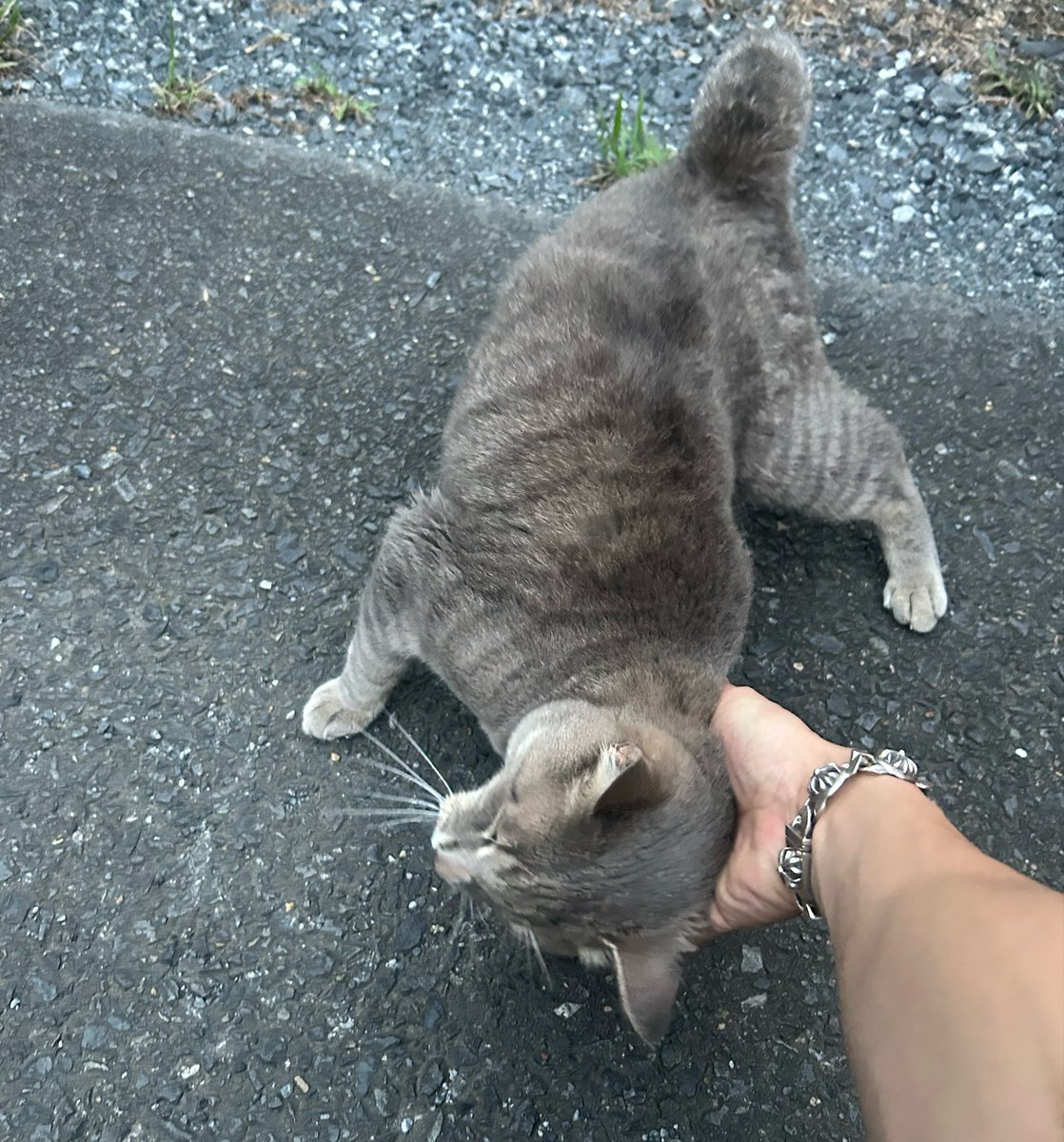 shu___ibagen's tweet photo. 後2日で始発から開放される予定 https://t.co/Fd9uMobuQW