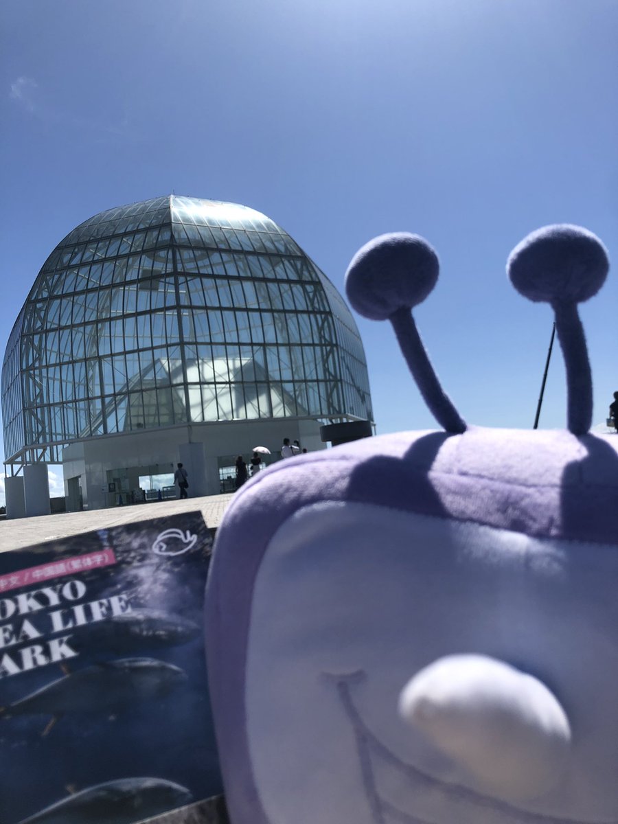 KA19950708's tweet photo. Day 5 水族館&amp; 渋谷Fangamer!!!!
#Tenna https://t.co/19lSbEYWdU