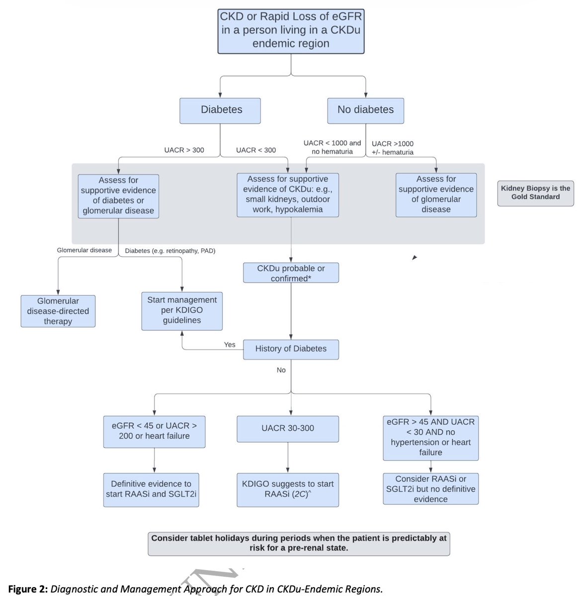 hardik4u24's tweet photo. 🩺🫘#CKD in CKDu-endemic regions: a practical roadmap🗺️
➡️Check diabetes status
➡️Assess UACR, hematuria & eGFR
➡️ Identify CKDu or glomerular disease
➡️ Match treatment to the evidence
➡️ Consider RAASi/SGLT2i where indicated
📖https://t.co/kdZZ80oCLE 🆕
#CKDu #Nephrology https://t.co/6j3asof3cj