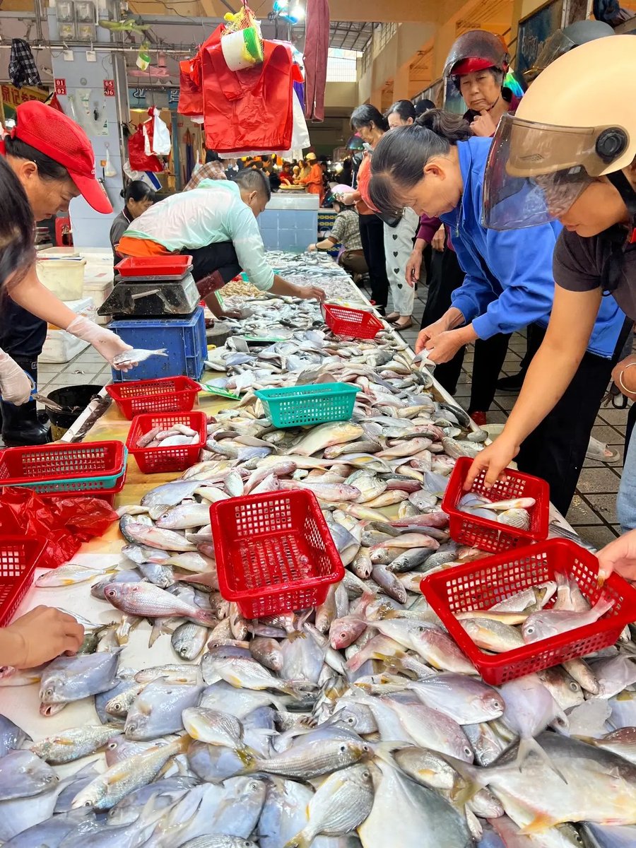 ShonFrasher's tweet photo. [Headed to the coastal market early today—fresh seafood, salt air, and that perfect weekend vibe can’t be beat!]， https://t.co/nEPJHbWDST