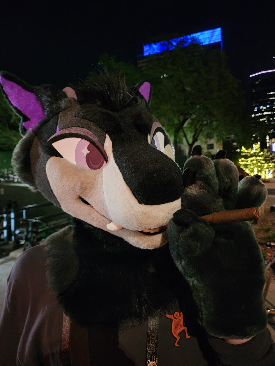 poolboydragon's tweet photo. Chat, is this tuff? https://t.co/bBUoXf4OkQ