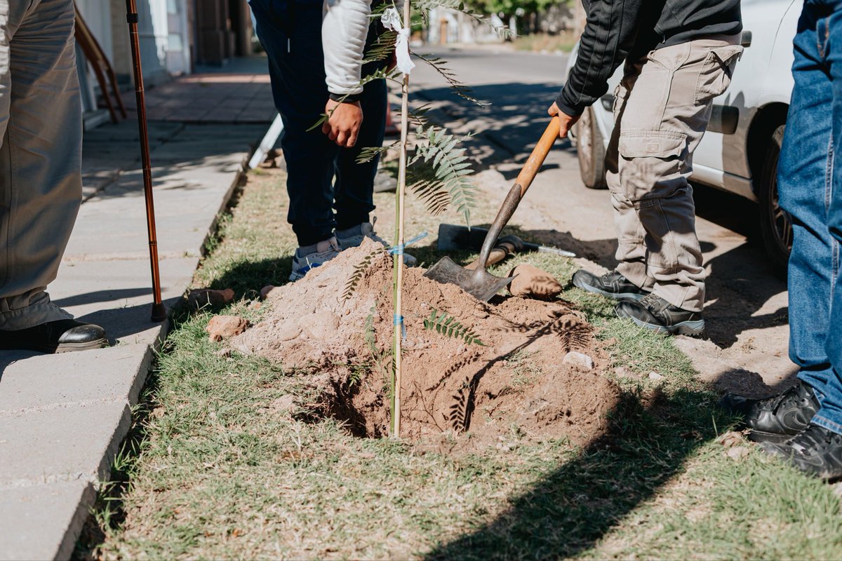 GonzaloBecerraD's tweet photo. Por qué La Rioja necesita más árboles (y un plan para lograrlo)
Qué es la regla 3/30/300? Un estándar internacional de urbanismo verde:
🌳 Ver al menos 3 árboles desde tu casa
🌳 Que tu barrio tenga 30% de cobertura arbórea
🌳 Vivir a no más de 300 metros de un espacio verde https://t.co/AlhApRmNgu