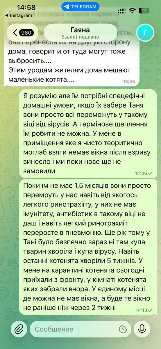 Avonato's tweet photo. Друзі, я до вас з неочікуваним збором😭

Нам потрібно врятувати 7 життів: мами на її двотижневих котенят

Вони заважали жителям будинку і їх грозились викинути

Вони вже їдуть на тимчасову перетримку, де буде зроблено більше їхніх фото, а поки прошу допомогти фінансово🙏 https://t.co/TK9dfmICY6