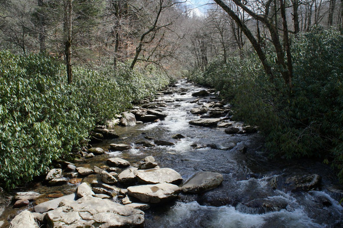 EricuteJ17565's tweet photo. I notice an old promise. The old bridge returns with the season. One day becomes another before we know it. https://t.co/dMHN3EmOs5