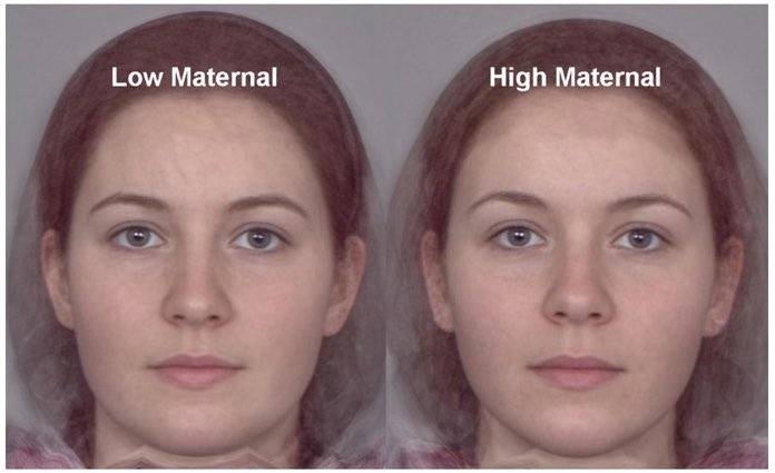 amishescapee's tweet photo. Select thy foid wisely https://t.co/XDiOACeie1
