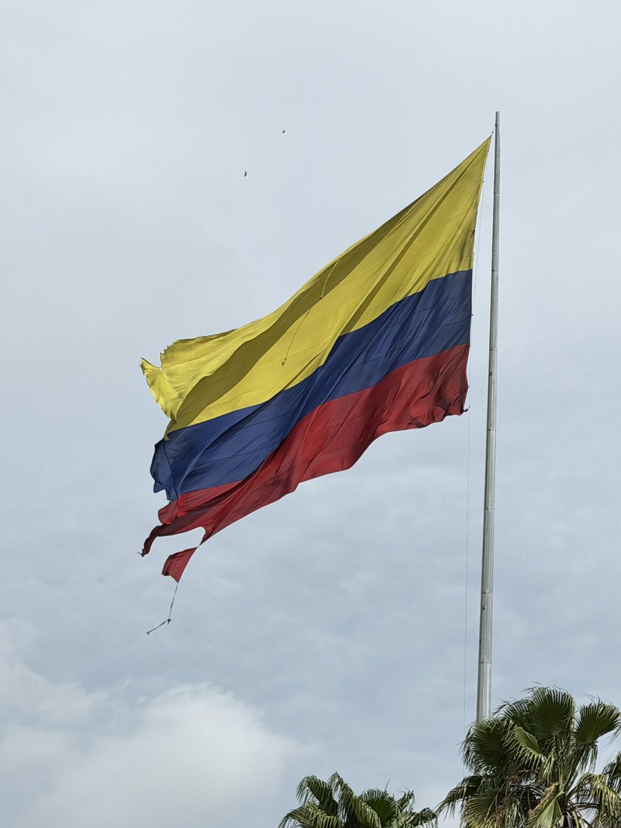 ElDudacolombia's tweet photo. Miren la bandera potrosa que tienen en Simón Bolívar. El colmo que la Alcaldïa de Barranquilla no sea capaz de cambiar este bandera rota q parece un trapo pa colar tinto. https://t.co/OoO8A6XDSI