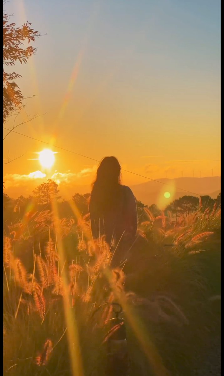 MaddieFlooz55v's tweet photo. New to photography Start with natural light (golden hour = your BFF) and a phone camera! Tiny steps, big fun https://t.co/XH479Kr52r